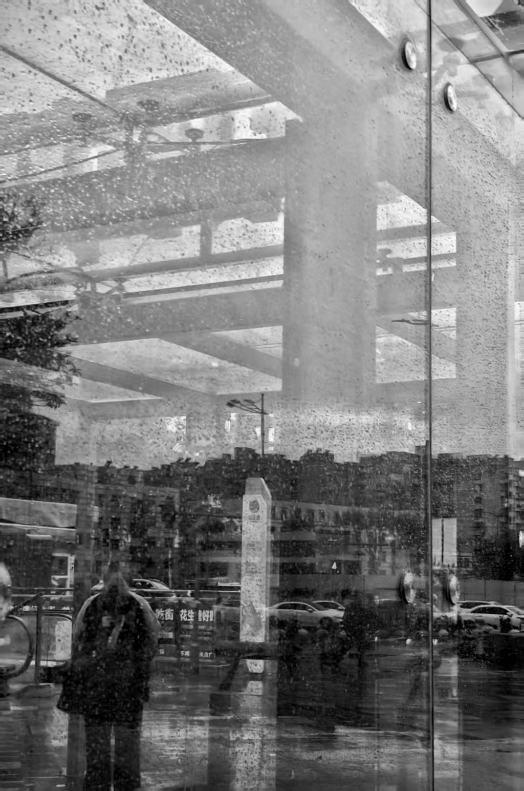 Black-and-white rain-soaked city reflection, cover for Rain | 雨