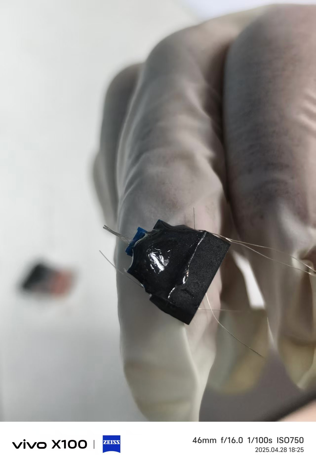 Photograph 3 of electrode fabrication