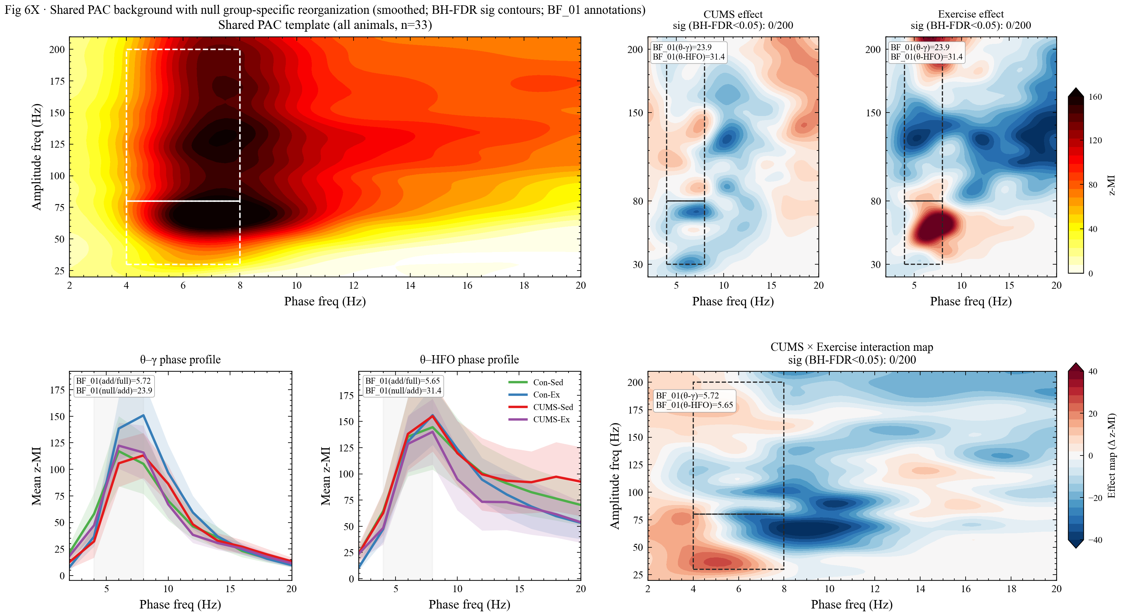 Phase-amplitude coupling template effects and interaction profiles