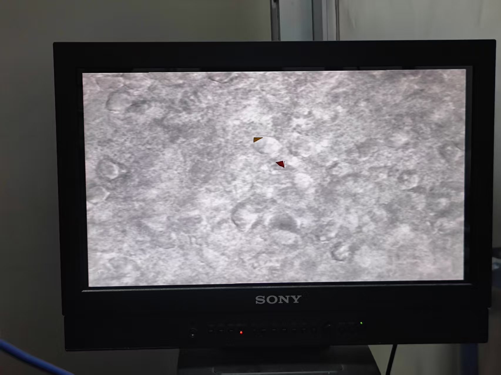 Patch clamp microscopy view, cover image