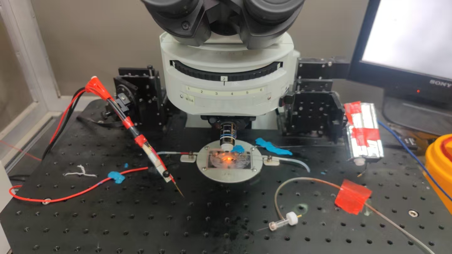 Patch clamp recording setup under a microscope