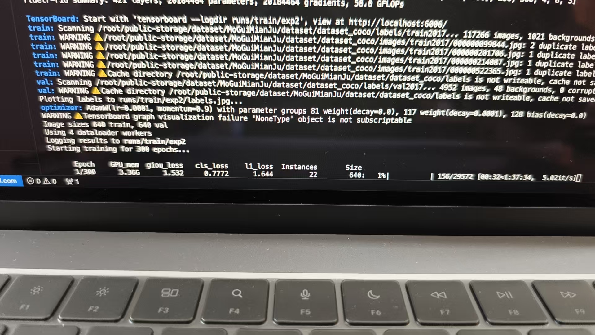 Python and TypeScript image 2
